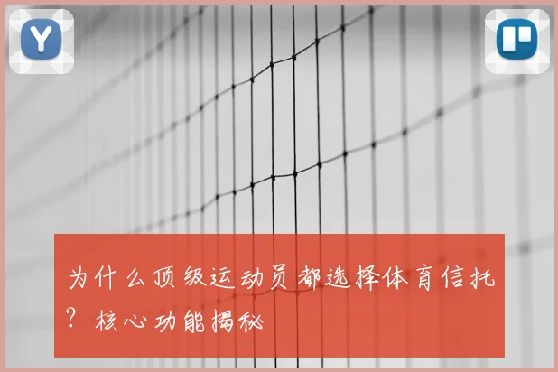 为什么顶级运动员都选择体育信托？核心功能揭秘